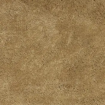3' X 5' Gold Plain Area Rug