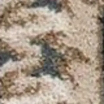 5' X 8' Slate Blue And Red Floral Area Rug