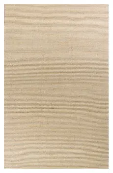 5' X 7' Ivory Hand Woven Area Rug