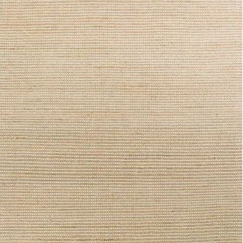 5' X 7' Ivory Hand Woven Area Rug