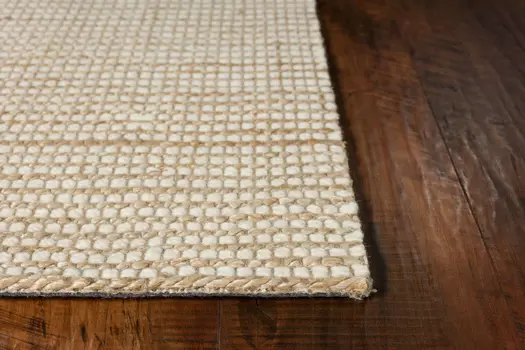 5' X 7' Ivory Hand Woven Area Rug