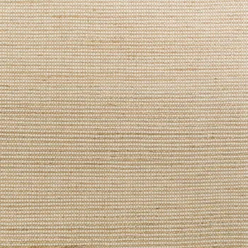 5' X 7' Ivory Hand Woven Area Rug