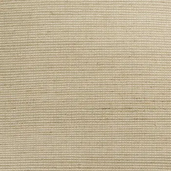 8' X 11' Tan And Ivory Hand Woven Area Rug