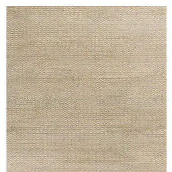 5' X 7' Tan And Ivory Hand Woven Area Rug