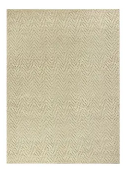 2' X 4' Ivory Chevron Hand Woven Area Rug
