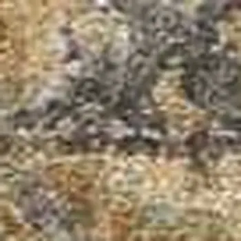 3' X 5' Coffee Brown Machine Woven Floral Medallion Indoor Area Rug