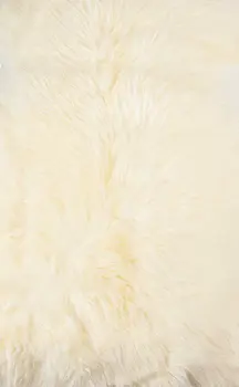2' X 3' Ivory Shag Area Rug