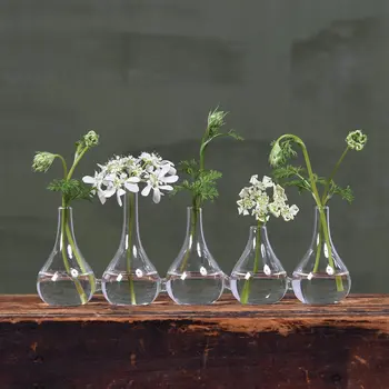 Set of Five Clear Cojoined Glass Bud Vases