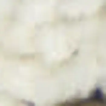 5' X 8' Blue And Gray Floral Indoor Outdoor Area Rug