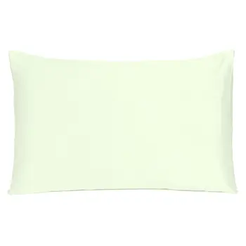 Ivory Dreamy Set Of 2 Silky Satin Queen Pillowcases