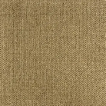 2' X 4' Tan Indoor Outdoor Area Rug
