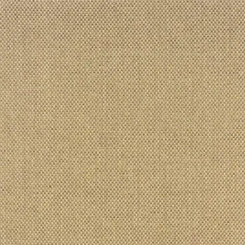 5' X 8' Beige Indoor Outdoor Area Rug