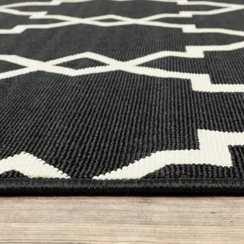4' X 6' Black And Ivory Indoor Outdoor Area Rug