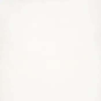18" White Square Throw Pillow Insert