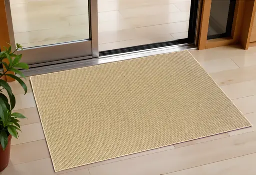 2' X 4' Beige Indoor Outdoor Area Rug
