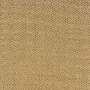 2' X 4' Beige Indoor Outdoor Area Rug