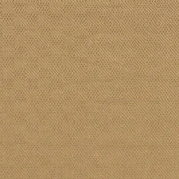 2' X 4' Beige And Black Indoor Outdoor Area Rug