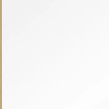 51" Gold Metal Framed Freestanding Standing Mirror