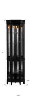 Elegant Black Lighted Curio Cabinet