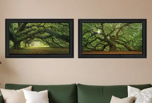 Set Of Two Tree Arbors by Moises Levy Black Frame Black Framed Print Wall Art