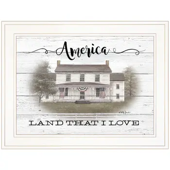 America 1 White Framed Print Wall Art