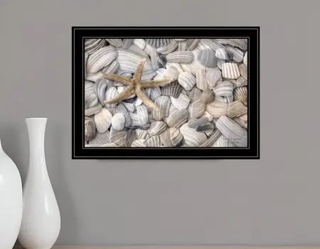 Starfish and Seashells 4 Black Framed Print Wall Art