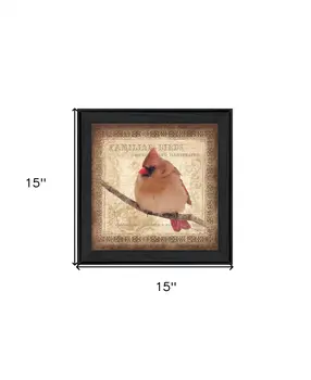 Female Cardinal 2 Black Framed Print Wall Art