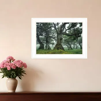 Enchanted Forest I 2 White Framed Print Wall Art