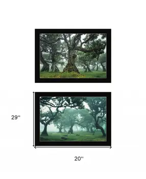 Set Of Two Enchanted Forest 4 Black Framed Print Wall Art