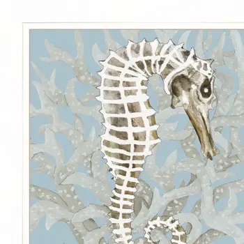 Set Of Two Coral Seahorse White Framed Print Wall Art