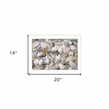 Starfish and Seashell 2 White Framed Print Wall Art