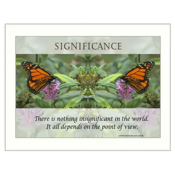 Significance 2 White Framed Print Wall Art