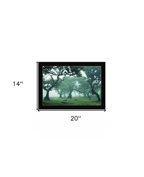 Enchanted Forest II 1 Black Framed Print Wall Art
