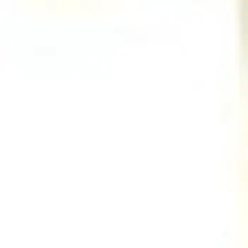 Set of Two 84"  Gold Solid Modern Window Panels