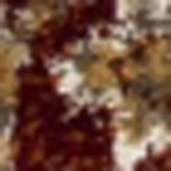 3' X 5' Rust Oriental Area Rug
