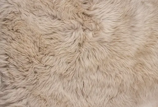6' X 6' Taupe Wool Sheepskin Handmade Area Rug