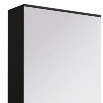 Black Ten Pair Shoe Rack