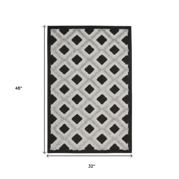 3' X 4' Black And White Indoor Outdoor Area Rug