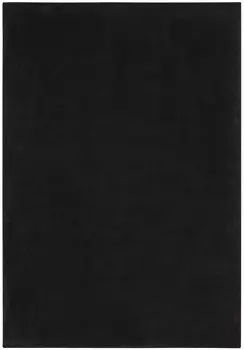 4' X 6' Black Stain Resistant Indoor Outdoor Area Rug