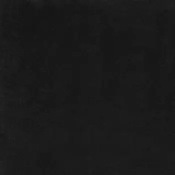4' X 6' Black Stain Resistant Indoor Outdoor Area Rug