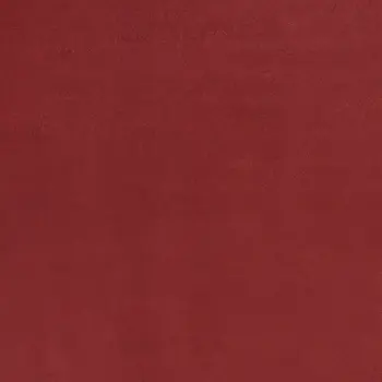 4' X 6' Brick Red Stain Resistant Indoor Outdoor Area Rug