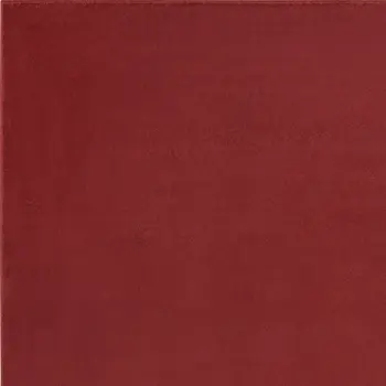 4' X 6' Brick Red Stain Resistant Indoor Outdoor Area Rug