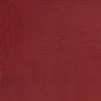 5' X 7' Brick Red Stain Resistant Indoor Outdoor Area Rug
