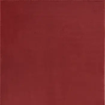 6' X 9' Brick Red Stain Resistant Indoor Outdoor Area Rug