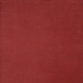 7' X 10' Brick Red Stain Resistant Indoor Outdoor Area Rug