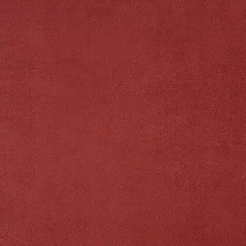 7' X 10' Brick Red Stain Resistant Indoor Outdoor Area Rug