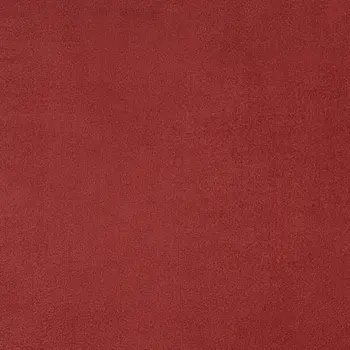 8' X 10' Brick Red Stain Resistant Indoor Outdoor Area Rug