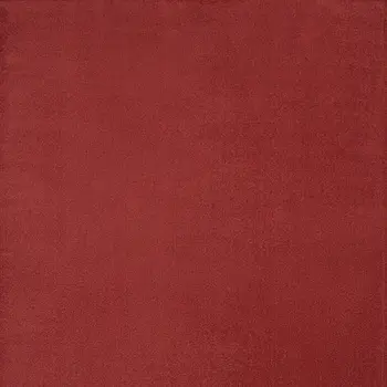 8' X 10' Brick Red Stain Resistant Indoor Outdoor Area Rug