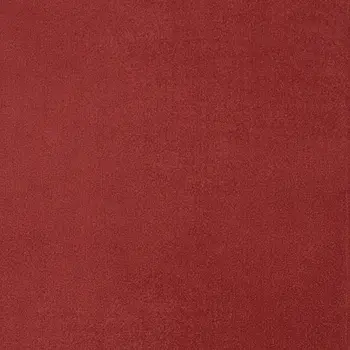 8' X 10' Brick Red Stain Resistant Indoor Outdoor Area Rug