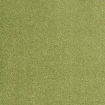 10' X 14' Green Indoor Outdoor Area Rug